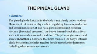 THE PINEAL GLAND
Functions:
The pineal gland's function in the body is not clearly understood yet.
However, it is known to play a role in regulating female reproduction
and sexual maturation. It also has a part in controlling circadian
rhythms (biological processes), the body’s internal clock that affects
such actions as when we wake and sleep. The pinealocytes create and
secrete melatonin, a hormone that helps maintain the body’s internal
clock. Melatonin also helps regulate female reproductive hormones,
including when women menstruate.
 