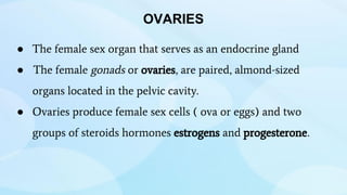 ● The female sex organ that serves as an endocrine gland
● The female gonads or ovaries, are paired, almond-sized
organs located in the pelvic cavity.
● Ovaries produce female sex cells ( ova or eggs) and two
groups of steroids hormones estrogens and progesterone.
OVARIES
 