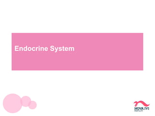 Endocrine System
 