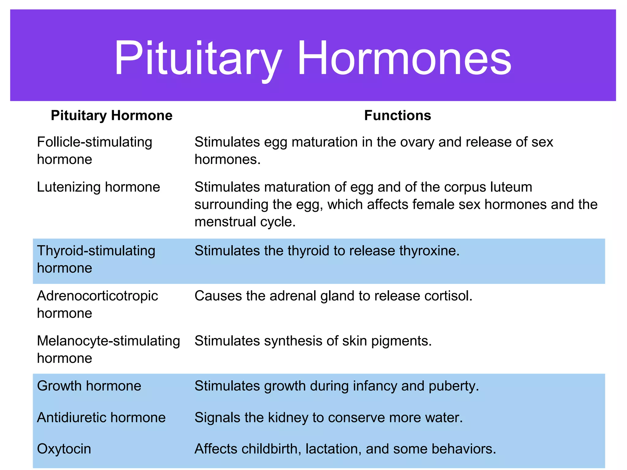 Pituitary Hormones
Pituitary Hormone Functions
Follicle-stimulating
hormone
Stimulates egg maturation in the ovary and release of sex
hormones.
Lutenizing hormone Stimulates maturation of egg and of the corpus luteum
surrounding the egg, which affects female sex hormones and the
menstrual cycle.
Thyroid-stimulating
hormone
Stimulates the thyroid to release thyroxine.
Adrenocorticotropic
hormone
Causes the adrenal gland to release cortisol.
Melanocyte-stimulating
hormone
Stimulates synthesis of skin pigments.
Growth hormone Stimulates growth during infancy and puberty.
Antidiuretic hormone Signals the kidney to conserve more water.
Oxytocin Affects childbirth, lactation, and some behaviors.
 