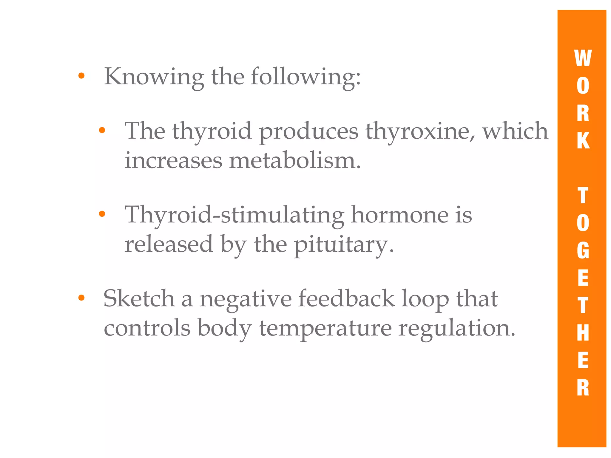 • Knowing the following:
• The thyroid produces thyroxine, which
increases metabolism.
• Thyroid-stimulating hormone is
released by the pituitary.
• Sketch a negative feedback loop that
controls body temperature regulation.
W
O
R
K
T
O
G
E
T
H
E
R
 