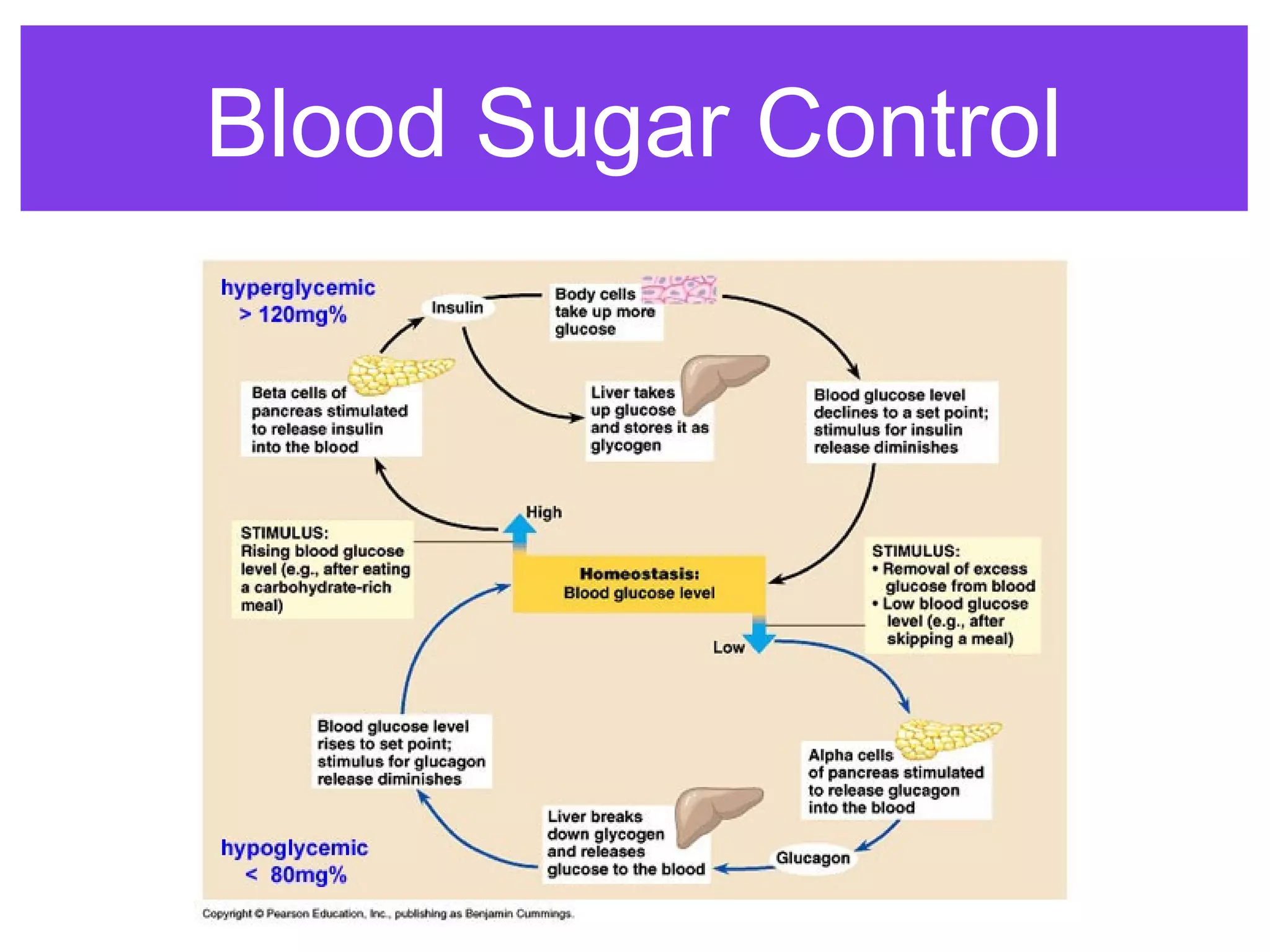 Blood Sugar Control
 