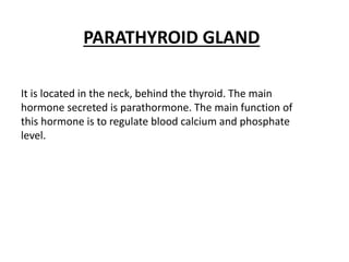 PARATHYROID GLAND
It is located in the neck, behind the thyroid. The main
hormone secreted is parathormone. The main function of
this hormone is to regulate blood calcium and phosphate
level.
 