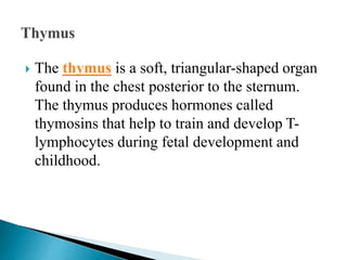 Endocrine system | PPTX