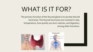 WHAT IS IT FOR?
The primary function of the thyroid gland is to secrete thyroid
hormones.The thyroid hormones are involved in rate,
temperature, how quickly you burn calories, and digestion,
among other functions.
.
 