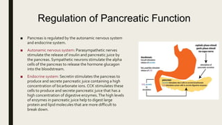 Regulation of Pancreatic Function
■ Pancreas is regulated by the autonamic nervous system
and endocrine system.
■ Autonamic nervous system: Parasympathetic nerves
stimulate the release of insulin and pancreatic juice by
the pancreas. Sympathetic neurons stimulate the alpha
cells of the pancreas to release the hormone glucagon
into the bloodstream.
■ Endocrine system: Secretin stimulates the pancreas to
produce and secrete pancreatic juice containing a high
concentration of bicarbonate ions. CCK stimulates these
cells to produce and secrete pancreatic juice that has a
high concentration of digestive enzymes.The high levels
of enzymes in pancreatic juice help to digest large
protein and lipid molecules that are more difficult to
break down.
 