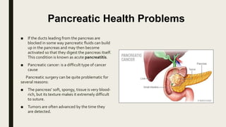 Pancreatic Health Problems
■ If the ducts leading from the pancreas are
blocked in some way pancreatic fluids can build
up in the pancreas and may then become
activated so that they digest the pancreas itself.
This condition is known as acute pancreatitis.
■ Pancreatic cancer: is a difficult type of cancer
cause
Pancreatic surgery can be quite problematic for
several reasons:
■ The pancreas’ soft, spongy, tissue is very blood-
rich, but its texture makes it extremely difficult
to suture.
■ Tumors are often advanced by the time they
are detected.
 