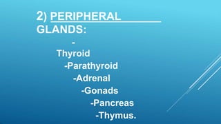 2) PERIPHERAL
GLANDS:
-
Thyroid
-Parathyroid
-Adrenal
-Gonads
-Pancreas
-Thymus.
 