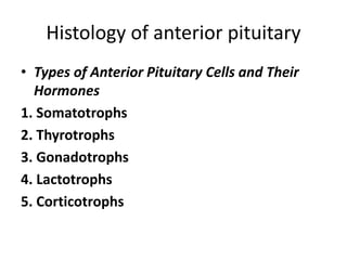 Histology of anterior pituitary
• Types of Anterior Pituitary Cells and Their
Hormones
1. Somatotrophs
2. Thyrotrophs
3. Gonadotrophs
4. Lactotrophs
5. Corticotrophs
 
