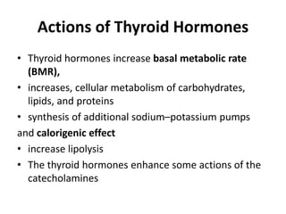 Actions of Thyroid Hormones
• Thyroid hormones increase basal metabolic rate
(BMR),
• increases, cellular metabolism of carbohydrates,
lipids, and proteins
• synthesis of additional sodium–potassium pumps
and calorigenic effect
• increase lipolysis
• The thyroid hormones enhance some actions of the
catecholamines
 