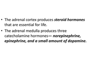 • The adrenal cortex produces steroid hormones
that are essential for life.
• The adrenal medulla produces three
catecholamine hormones— norepinephrine,
epinephrine, and a small amount of dopamine.
 