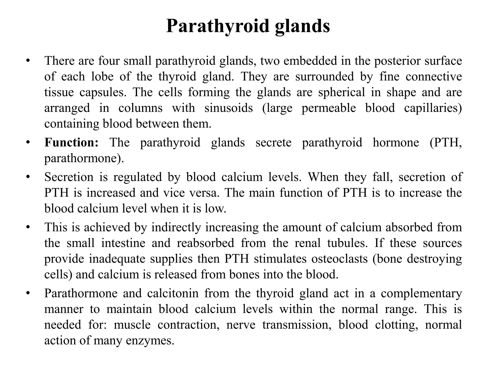 Parathyroid glands
• There are four small parathyroid glands, two embedded in the posterior surface
of each lobe of the thyroid gland. They are surrounded by fine connective
tissue capsules. The cells forming the glands are spherical in shape and are
arranged in columns with sinusoids (large permeable blood capillaries)
containing blood between them.
• Function: The parathyroid glands secrete parathyroid hormone (PTH,
parathormone).
• Secretion is regulated by blood calcium levels. When they fall, secretion of
PTH is increased and vice versa. The main function of PTH is to increase the
blood calcium level when it is low.
• This is achieved by indirectly increasing the amount of calcium absorbed from
the small intestine and reabsorbed from the renal tubules. If these sources
provide inadequate supplies then PTH stimulates osteoclasts (bone destroying
cells) and calcium is released from bones into the blood.
• Parathormone and calcitonin from the thyroid gland act in a complementary
manner to maintain blood calcium levels within the normal range. This is
needed for: muscle contraction, nerve transmission, blood clotting, normal
action of many enzymes.
 