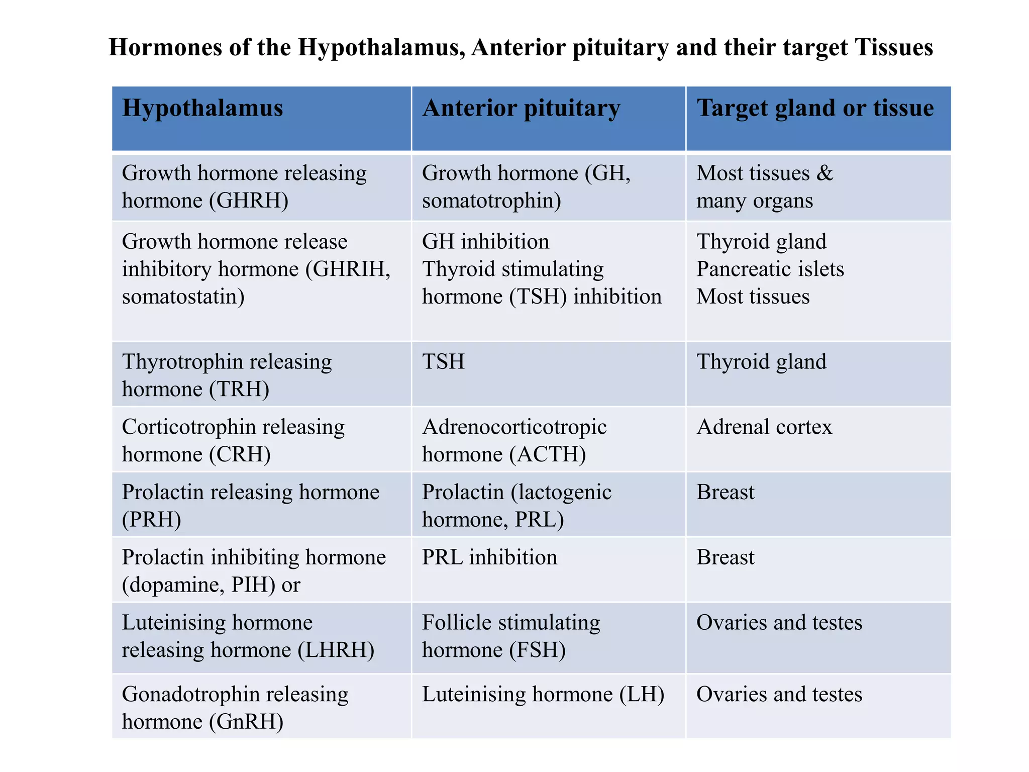 Hormones of the Hypothalamus, Anterior pituitary and their target Tissues
Hypothalamus Anterior pituitary Target gland or tissue
Growth hormone releasing
hormone (GHRH)
Growth hormone (GH,
somatotrophin)
Most tissues &
many organs
Growth hormone release
inhibitory hormone (GHRIH,
somatostatin)
GH inhibition
Thyroid stimulating
hormone (TSH) inhibition
Thyroid gland
Pancreatic islets
Most tissues
Thyrotrophin releasing
hormone (TRH)
TSH Thyroid gland
Corticotrophin releasing
hormone (CRH)
Adrenocorticotropic
hormone (ACTH)
Adrenal cortex
Prolactin releasing hormone
(PRH)
Prolactin (lactogenic
hormone, PRL)
Breast
Prolactin inhibiting hormone
(dopamine, PIH) or
PRL inhibition Breast
Luteinising hormone
releasing hormone (LHRH)
Follicle stimulating
hormone (FSH)
Ovaries and testes
Gonadotrophin releasing
hormone (GnRH)
Luteinising hormone (LH) Ovaries and testes
 