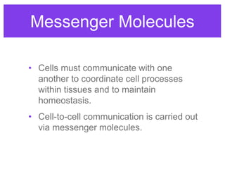 Messenger Molecules
• Cells must communicate with one
another to coordinate cell processes
within tissues and to maintain
homeostasis.
• Cell-to-cell communication is carried out
via messenger molecules.
 