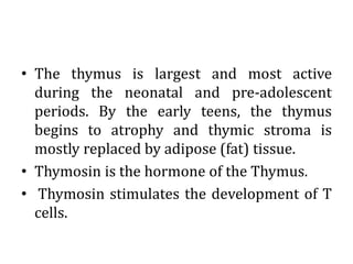 • The thymus is largest and most active
during the neonatal and pre-adolescent
periods. By the early teens, the thymus
begins to atrophy and thymic stroma is
mostly replaced by adipose (fat) tissue.
• Thymosin is the hormone of the Thymus.
• Thymosin stimulates the development of T
cells.
 