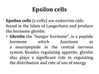 Epsilon cells
Epsilon cells (ε-cells) are endocrine cells
found in the Islets of Langerhans and produce
the hormone ghrelin.
• Ghrelin the "hunger hormone", is a peptide
hormone which functions as
a neuropeptide in the central nervous
system. Besides regulating appetite, ghrelin
also plays a significant role in regulating
the distribution and rate of use of energy
 