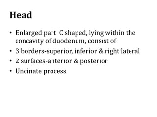 Head
• Enlarged part C shaped, lying within the
concavity of duodenum, consist of
• 3 borders-superior, inferior & right lateral
• 2 surfaces-anterior & posterior
• Uncinate process
 