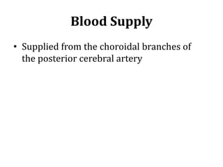 Blood Supply
• Supplied from the choroidal branches of
the posterior cerebral artery
 