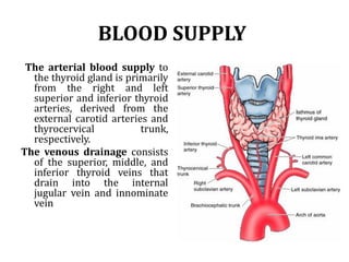 BLOOD SUPPLY
The arterial blood supply to
the thyroid gland is primarily
from the right and left
superior and inferior thyroid
arteries, derived from the
external carotid arteries and
thyrocervical trunk,
respectively.
The venous drainage consists
of the superior, middle, and
inferior thyroid veins that
drain into the internal
jugular vein and innominate
vein
 