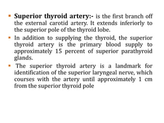  Superior thyroid artery:- is the first branch off
the external carotid artery. It extends inferiorly to
the superior pole of the thyroid lobe.
 In addition to supplying the thyroid, the superior
thyroid artery is the primary blood supply to
approximately 15 percent of superior parathyroid
glands.
 The superior thyroid artery is a landmark for
identification of the superior laryngeal nerve, which
courses with the artery until approximately 1 cm
from the superior thyroid pole
 