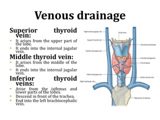 Venous drainage
Superior thyroid
vein:
 It arises from the upper part of
the lobe.
 It ends into the internal jugular
vein.
Middle thyroid vein:
 It arises from the middle of the
lobe.
 It ends into the internal jugular
vein.
Inferior thyroid
veins:
 Arise from the isthmus and
lower parts of the lobes.
 Descend in front of the trachea.
 End into the left brachiocephalic
vein.
 