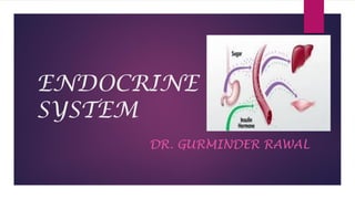 ENDOCRINE
SYSTEM
DR. GURMINDER RAWAL
 