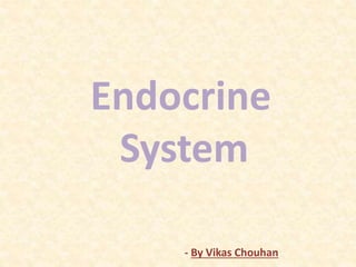 Endocrine System Anatomy and Physiology by Vikas Chouhan | PPTX