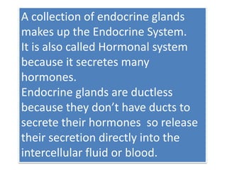 Endocrine System