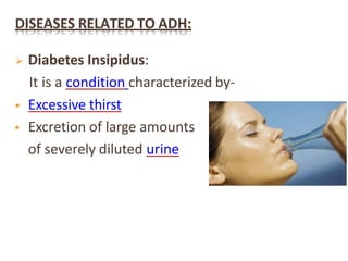 DISEASES RELATED TO ADH:
 Diabetes Insipidus:
It is a condition characterized by-
 Excessive thirst
 Excretion of large amounts
of severely diluted urine
 
