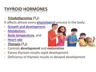 THYROID HORMONES
 Triiodothyronine (T3):
It affects almost every physiological process in the body:
 Growth and development,
 Metabolism,
 Body temperature, and
 Heart rate
 Thyroxin (T4):
 Controls development and maturation
 Excess thyroxin results rapid development
 Deficiency of thyroxin results in delayed development
 