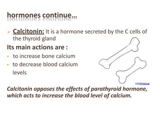 hormones continue…
 Calcitonin: It is a hormone secreted by the C cells of
the thyroid gland
Its main actions are :
 to increase bone calcium
 to decrease blood calcium
levels
Calcitonin opposes the effects of parathyroid hormone,
which acts to increase the blood level of calcium.
 