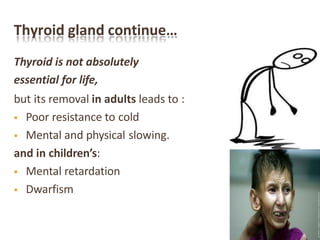 Thyroid gland continue…
Thyroid is not absolutely
essential for life,
but its removal in adults leads to :
 Poor resistance to cold
 Mental and physical slowing.
and in children’s:
 Mental retardation
 Dwarfism
 