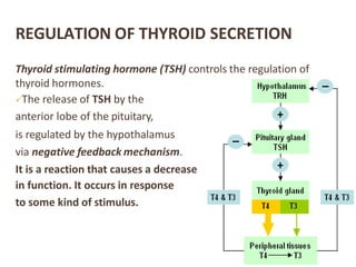 REGULATION OF THYROID SECRETION
Thyroid stimulating hormone (TSH) controls the regulation of
thyroid hormones.
The release of TSH by the
anterior lobe of the pituitary,
is regulated by the hypothalamus
via negative feedback mechanism.
It is a reaction that causes a decrease
in function. It occurs in response
to some kind of stimulus.
 