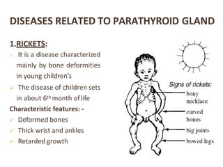 DISEASES RELATED TO PARATHYROID GLAND
1.RICKETS:
 It is a disease characterized
mainly by bone deformities
in young children’s
 The disease of children sets
in about 6th month oflife
Characteristic features: -
 Deformed bones
 Thick wrist and ankles
 Retarded growth
 