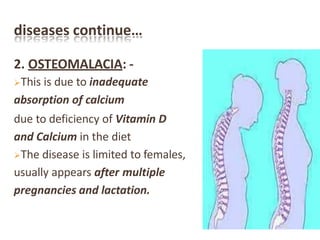 diseases continue…
2. OSTEOMALACIA: -
This is due to inadequate
absorption of calcium
due to deficiency of Vitamin D
and Calcium in the diet
The disease is limited to females,
usually appears after multiple
pregnancies and lactation.
 