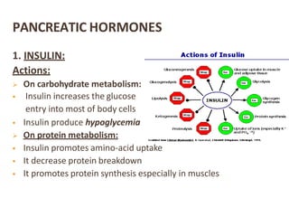 PANCREATIC HORMONES
1. INSULIN:
Actions:
 On carbohydrate metabolism:
 Insulin increases the glucose
entry into most of body cells
 Insulin produce hypoglycemia
 On protein metabolism:
 Insulin promotes amino-acid uptake
 It decrease protein breakdown
 It promotes protein synthesis especially in muscles
 