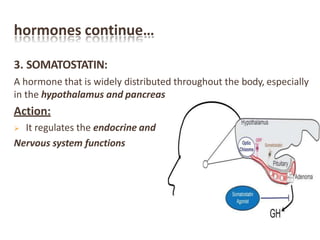 hormones continue…
3. SOMATOSTATIN:
A hormone that is widely distributed throughout the body, especially
in the hypothalamus and pancreas
Action:
 It regulates the endocrine and
Nervous system functions
 