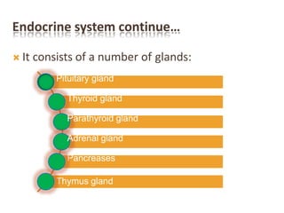 Endocrine system continue…
 It consists of a number of glands:
Pituitary gland
Thyroid gland
Parathyroid gland
Adrenal gland
Pancreases
Thymus gland
 