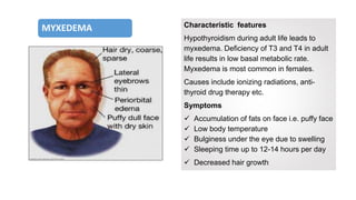 Endocrine System PPTX endocrine-system-pptx