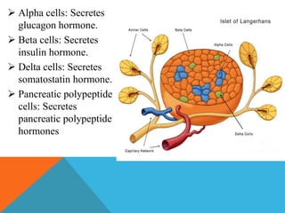 Endocrine system | PPTX