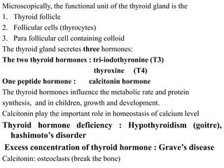 Microscopically, the functional unit of the thyroid gland is the
1. Thyroid follicle
2. Follicular cells (thyrocytes)
3. Para follicular cell containing colloid
The thyroid gland secretes three hormones:
The two thyroid hormones : tri-iodothyronine (T3)
thyroxine (T4)
One peptide hormone : calcitonin hormone
The thyroid hormones influence the metabolic rate and protein
synthesis, and in children, growth and development.
Calcitonin play the important role in homeostasis of calcium level
Thyroid hormone deficiency : Hypothyroidism (goitre),
hashimoto’s disorder
Excess concentration of thyroid hormone : Grave’s disease
Calcitonin: osteoclasts (break the bone)
 