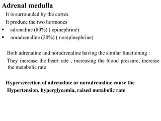 Adrenal medulla
It is surrounded by the cortex
It produce the two hormones
 adrenaline (80%) ( epinephrine)
 noradrenaline (20%) ( norepinephrine)
Both adrenaline and noradrenaline having the similar functioning :
They increase the heart rate , increasing the blood pressure, increase
the metabolic rate
Hypersecretion of adrenaline or noradrenaline cause the
Hypertension, hyperglycemia, raised metabolic rate
 