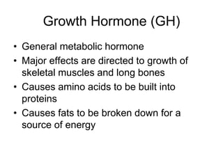 Growth Hormone (GH)
• General metabolic hormone
• Major effects are directed to growth of
skeletal muscles and long bones
• Causes amino acids to be built into
proteins
• Causes fats to be broken down for a
source of energy
 