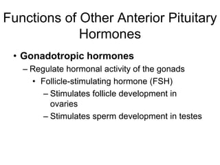 Functions of Other Anterior Pituitary
Hormones
• Gonadotropic hormones
– Regulate hormonal activity of the gonads
• Follicle-stimulating hormone (FSH)
– Stimulates follicle development in
ovaries
– Stimulates sperm development in testes
 