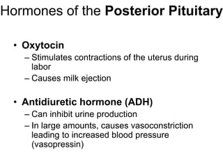 Hormones of the Posterior Pituitary
• Oxytocin
– Stimulates contractions of the uterus during
labor
– Causes milk ejection
• Antidiuretic hormone (ADH)
– Can inhibit urine production
– In large amounts, causes vasoconstriction
leading to increased blood pressure
(vasopressin)
 