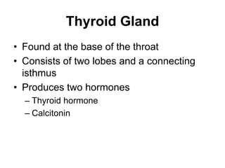 Thyroid Gland
• Found at the base of the throat
• Consists of two lobes and a connecting
isthmus
• Produces two hormones
– Thyroid hormone
– Calcitonin
 