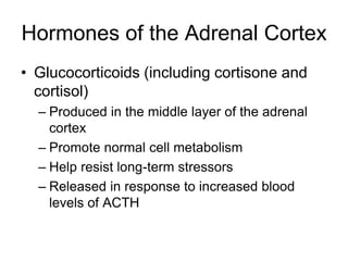 Hormones of the Adrenal Cortex
• Glucocorticoids (including cortisone and
cortisol)
– Produced in the middle layer of the adrenal
cortex
– Promote normal cell metabolism
– Help resist long-term stressors
– Released in response to increased blood
levels of ACTH
 