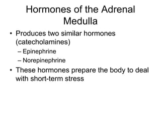 Hormones of the Adrenal
Medulla
• Produces two similar hormones
(catecholamines)
– Epinephrine
– Norepinephrine
• These hormones prepare the body to deal
with short-term stress
 