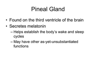 Pineal Gland
• Found on the third ventricle of the brain
• Secretes melatonin
– Helps establish the body’s wake and sleep
cycles
– May have other as-yet-unsubstantiated
functions
 