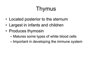 Thymus
• Located posterior to the sternum
• Largest in infants and children
• Produces thymosin
– Matures some types of white blood cells
– Important in developing the immune system
 